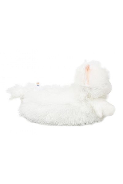 Twigy Yy0308 Z Tw Kedi-3 Λευκό Γυναικείο Panduf