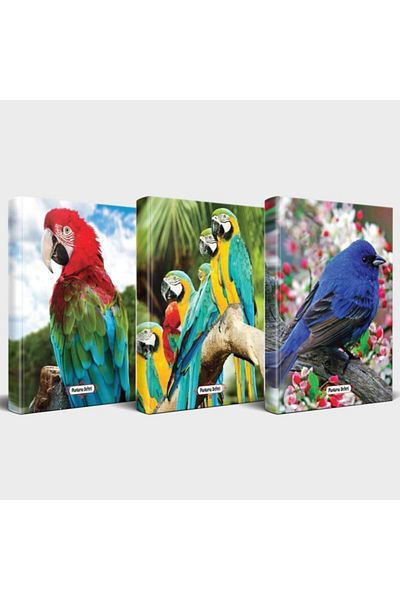 Halk Kitabevi Set de caiete cu animale drăguțe 3 piese V2