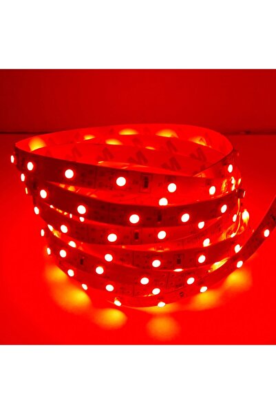 OKYANUSAYD Kırmızı Işık 5 Metre 12 Volt Tek Çipli Iç Mekan 40x40 Şerit Led