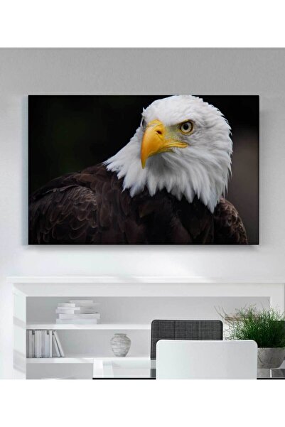 StellaStore Kartal Kanvas Tablo