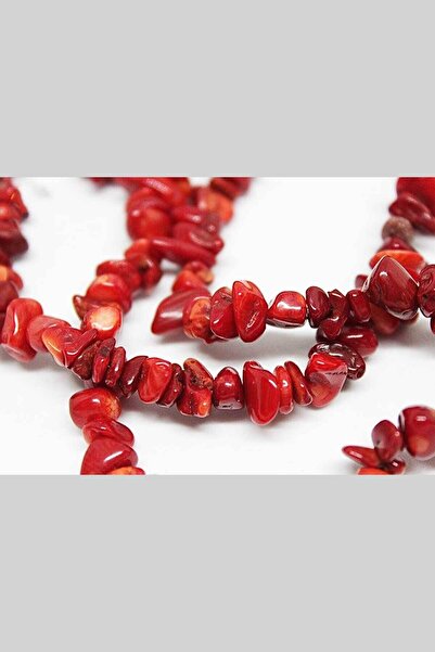 Yasamtohumu Seria Pietre Mici Naturale Coral (vopsit) - 80cm