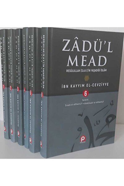 Pınar Yayınları Zadul Mead, Resulullah'ın Yaşadığı Islam (6 Cilt Takım)