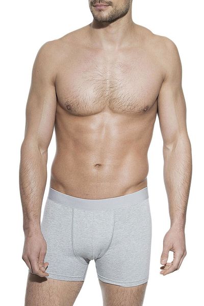 ali altun iç giyim 3-Piece Men's Boxers Gray 2032