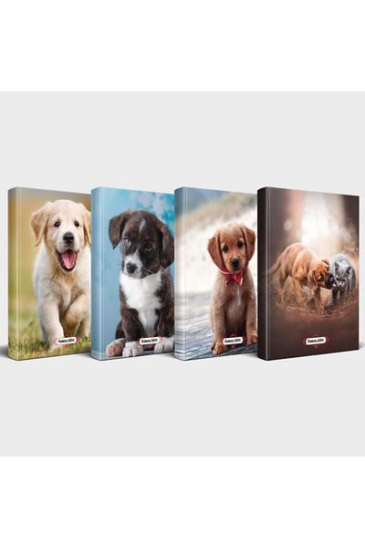 Halk Kitabevi Dog Themed Notebook Set 4 Pieces V2