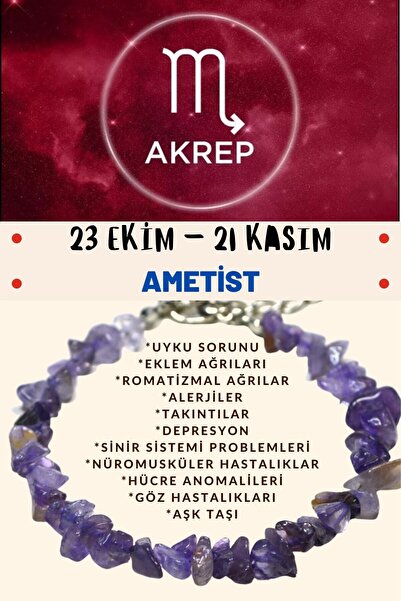 Gümüştel Sertifikalı Burç Taşı Akrep Burcu Ametist Taşı Bileklik