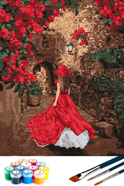 abbara Sayılarla Boyama Çerçeveye Gerilmiş Tablo Seti Kasnaklı Fırça Boya Dahil 40x50 Kasnaklı