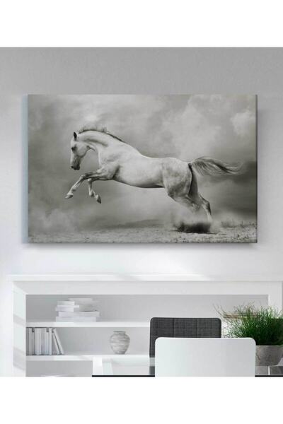 StellaStore Beyaz Atlı Kanvas Tablo