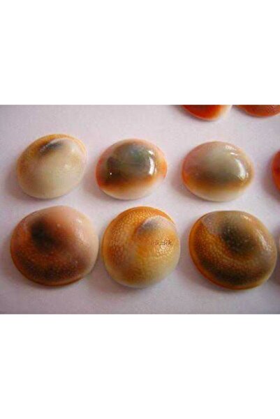 Genel Markalar Yılancık Taşı Şifa Taşı Dişi Ve Erkek Karışık 29 Adet