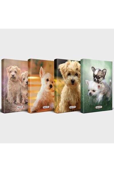 Halk Kitabevi Dog Themed Notebook Set 4 Pieces V1
