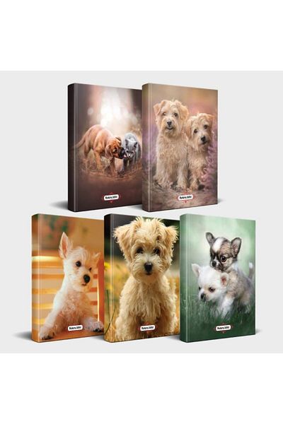 Halk Kitabevi Dog Themed Notebook Set 5 Pieces V1