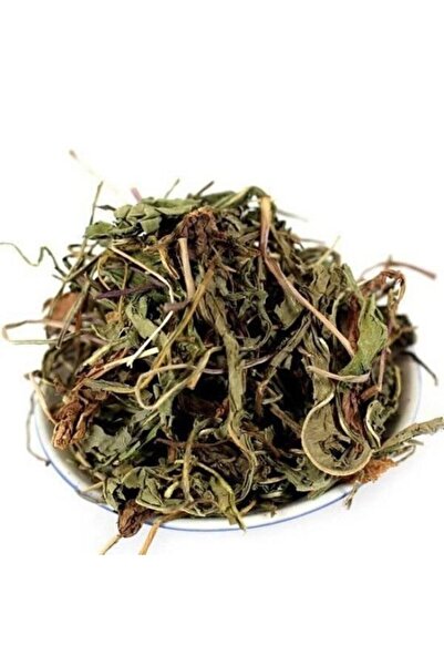 Nursima Kara Hindiba Yaprağı 30gr