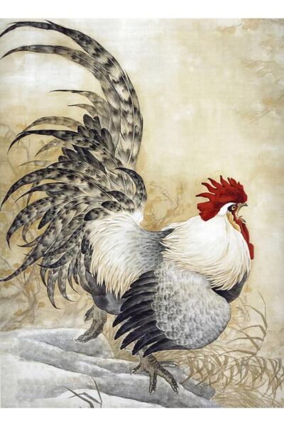 Rölyef Sanat Evi Kâğıt Rölyef Poster - Horoz/tavuk Resimleri - 35x50 ( 8 Adet )