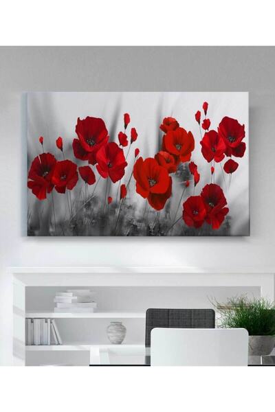 StellaStore Modern Kırmızı Çiçekler Kanvas Tablo