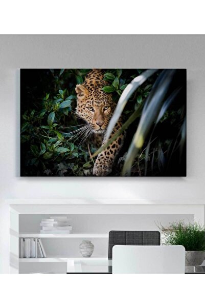 StellaStore Leopar Sanat Kanvas Tablo