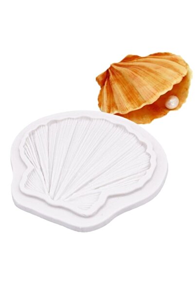 adarya Shell Deniz Kabuğu Silikon Kalıp