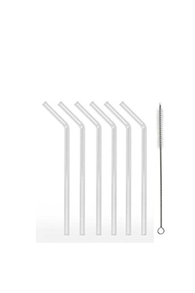 Vaveyla Set of 6 Glass Curled Straws and Brushes