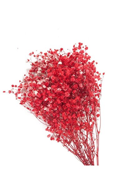 DOĞAL KURU ÇİÇEK Cipso roșu