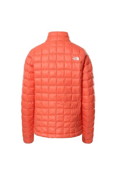 THE NORTH FACE The Northface Kadın Thermoball Eco Mont 2.0 Nf0a5gld3by1
