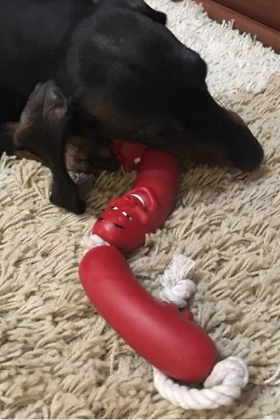Buffer Toy Sausage for Dogs