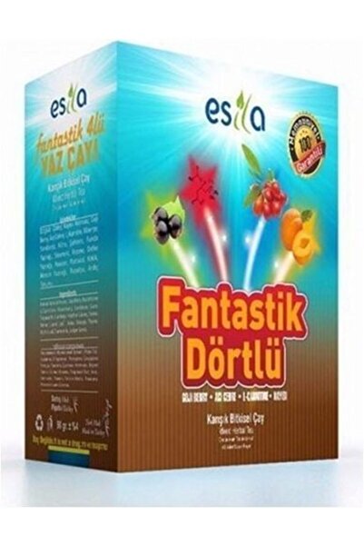 ESİLA Fantastik Dörtlü Yaz Çayı 45 Poşet