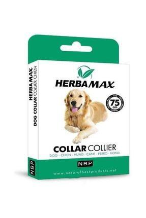 Max Biocide Herba Max Kopek Pire Ve Dis Parazit Kene Tasmasi 75 Cm Fiyati Yorumlari Trendyol