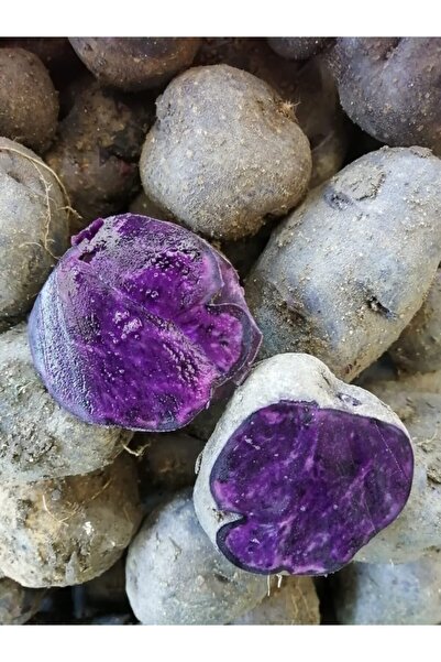 Genel Markalar Oraganik Mor Patates 1kg (Sertifikalı)