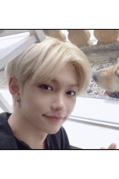 Kpop Dünyasi Stray Kids ''Felix - Han'' Earring