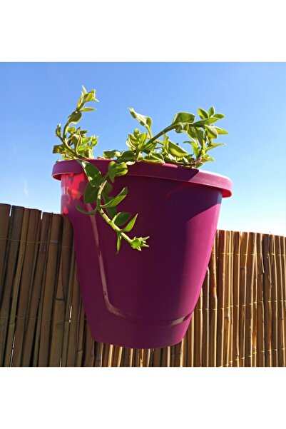 Doğalsan Tarım Balkon Demiri Saksısı 7.5 Lt 1 Adet Vişne Zümrüt Saksı Zümrüt ...