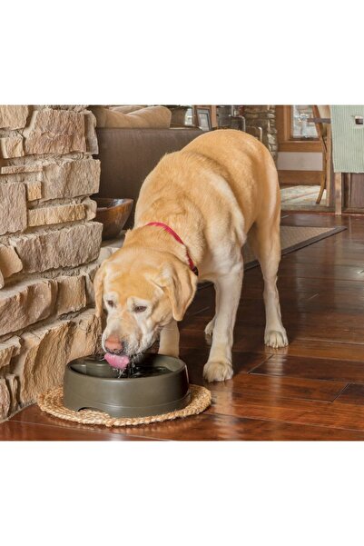 PetSafe Drinkwell Current Büyük Boy Su Pınarı 3.5 Litre