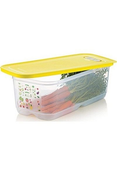Tupperware Greenhouse 6 Liters