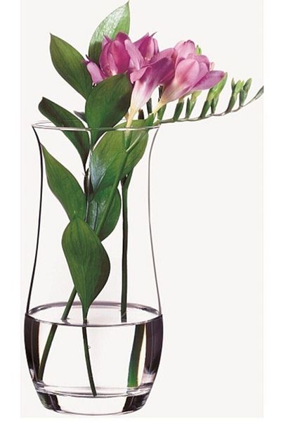 Paşabahçe Βάζο Botanica 21cm