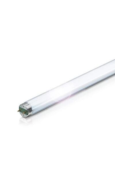MİRAN HOME Leo Max T8 18w Kırmızı Floresan Lamba 3 Ad 60 Cm
