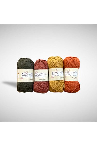 Masal Örgü Evi Punch and Amigurumi Thread Set of 4 100% Cotton