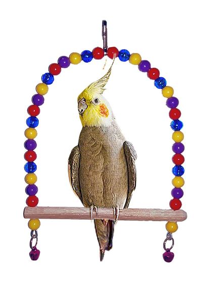 Alyones Mega Bird Toy Set Set of 4