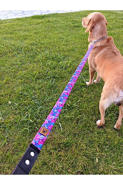 UTDpet Lilac Dog Extension Leash Dispatch Strap Grande