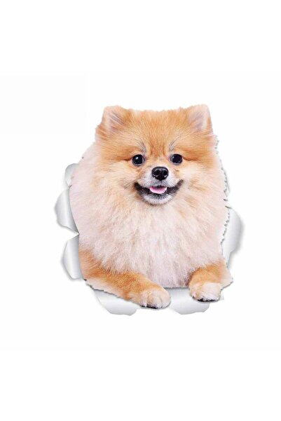 TSC ملصق تصفيف السيارة على شكل كلب صغير طويل الشعر 18 سم