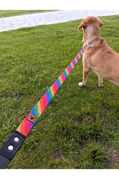 UTDpet Rainbow Grande Strap - Dog Extension Leash, Shipping