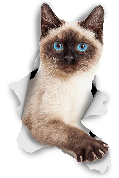 TSC Siyam Kedi Sevimli Araba Çıkartması Su Geçirmez 18cm