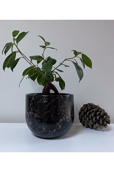 CMHOME Büyük Boy El Boyaması Siyah Üzeri Gold Ve Gümüş Renkli Mermer Efekt'li...