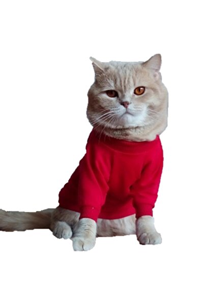 kedi kiyafeti modelleri ve fiyatlari trendyol