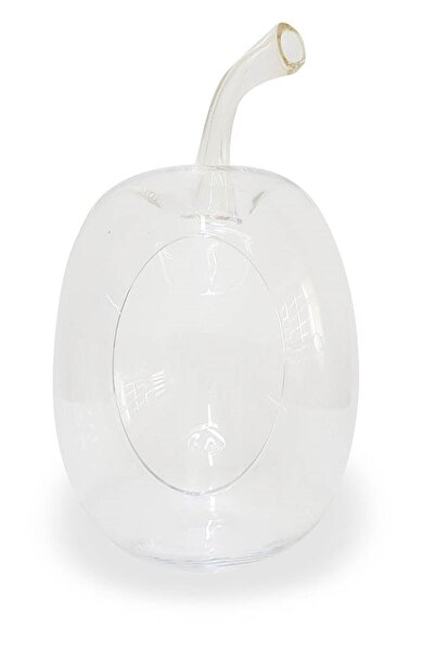 YoyoMoyo Büyük Boy Elma Fanus 27x34x11