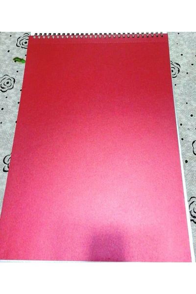 Moil 10 Colors Metallic Background Carton 25x35