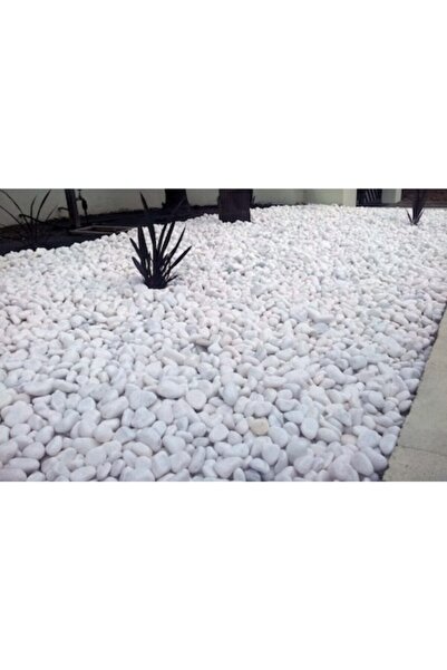 HAZARTAŞ Tamburlanmış Dolomit Taşı Beyaz Renk 20 Kg 2-4 Cm