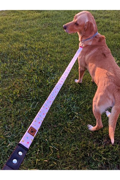 UTDpet Daydream Dog Extension Leash Dispatch Strap Grande