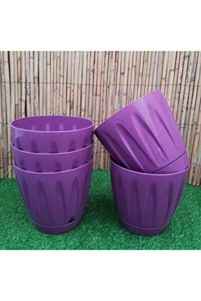 Asenya Çiçek Saksısı 1,5 Lt 2 Adet Lila Renkli Saksı Yuvarlak Saksı Iç Mekan ...