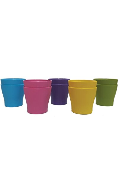 Poliwork 10 Lu Gardenya 5,5 Cm Plastik Renkli Kaktüs Saksısı
