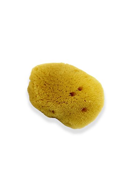 BAZAAR 4 Baby Bath Natural Sea Sponge