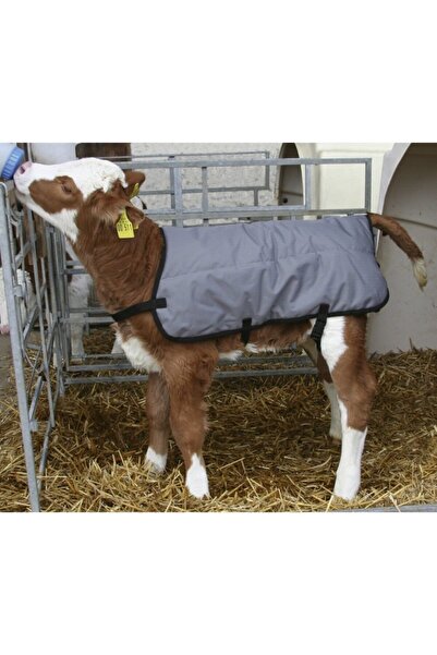 KERBL Buzağı Battaniyesi 80 Cm