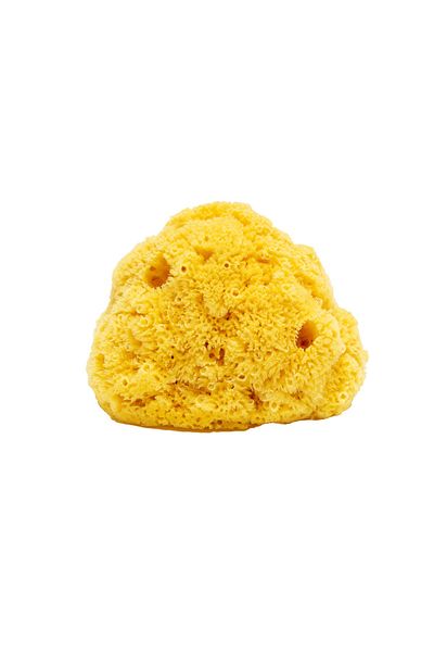 BAZAAR 4 Baby Bath Natural Sea Sponge