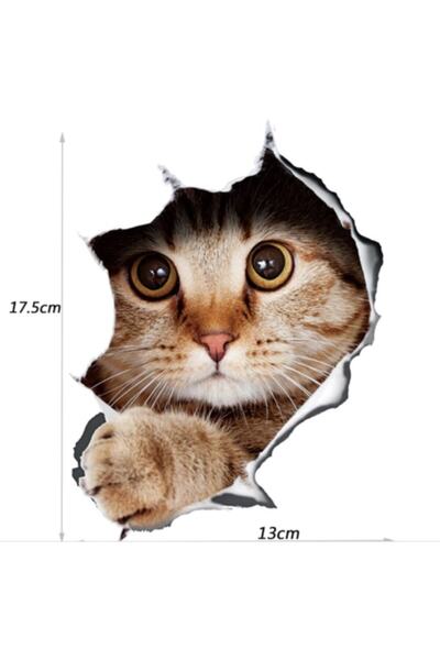TSC Cat Model 3 Αυτοκόλλητο Αυτοκόλλητο Αυτοκινήτου Πολύχρωμο